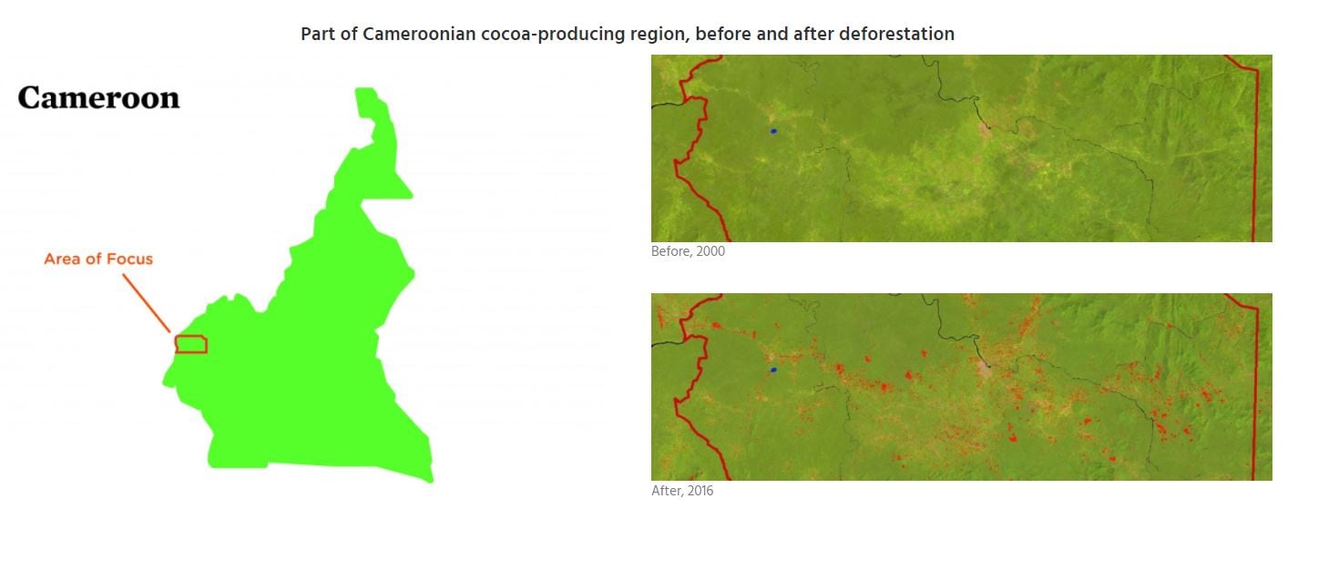 cameroon-mapping.jpg
