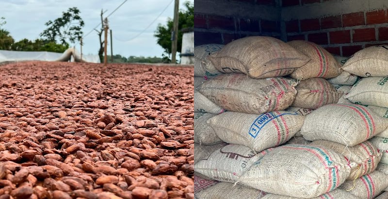 Guacamayes-beans-and-bags-CN.jpg