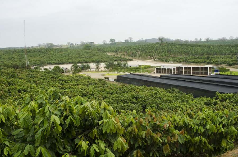 hacienda-victoria-lead-picture.jpg
