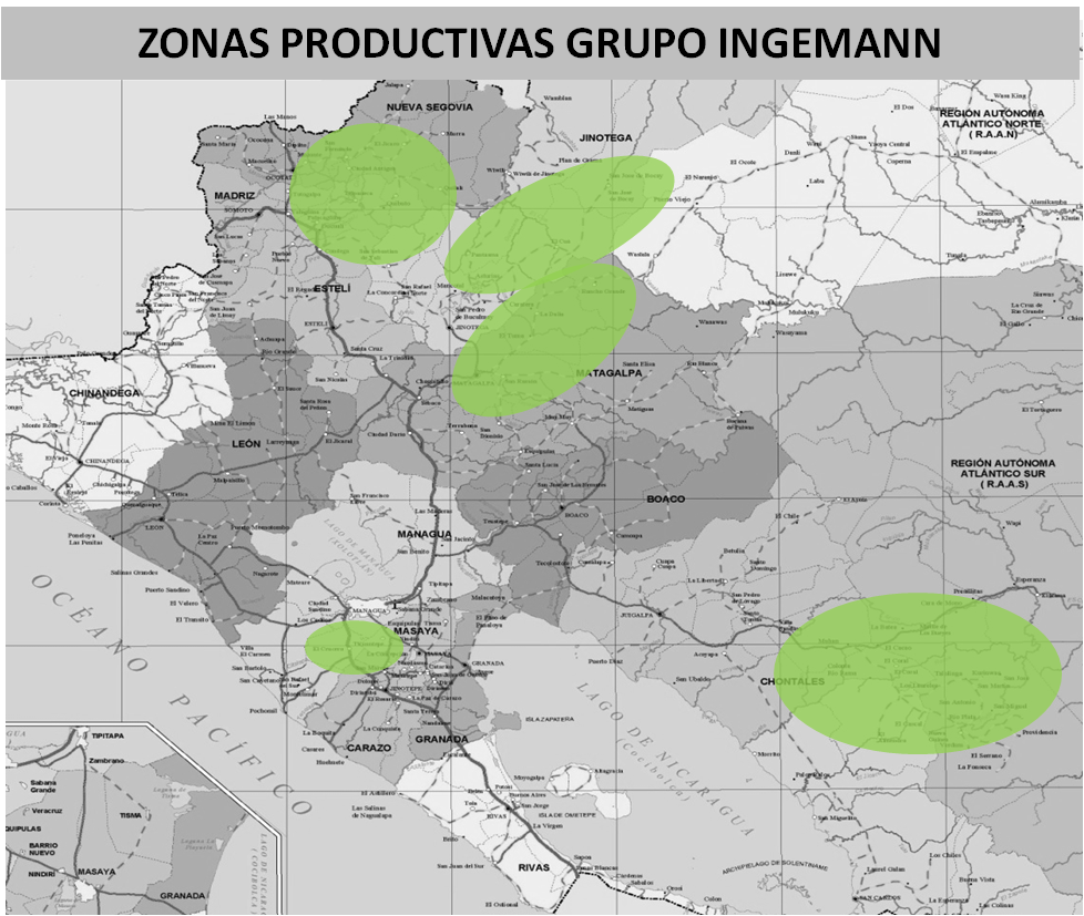 Zonas-productivas-cacao.png