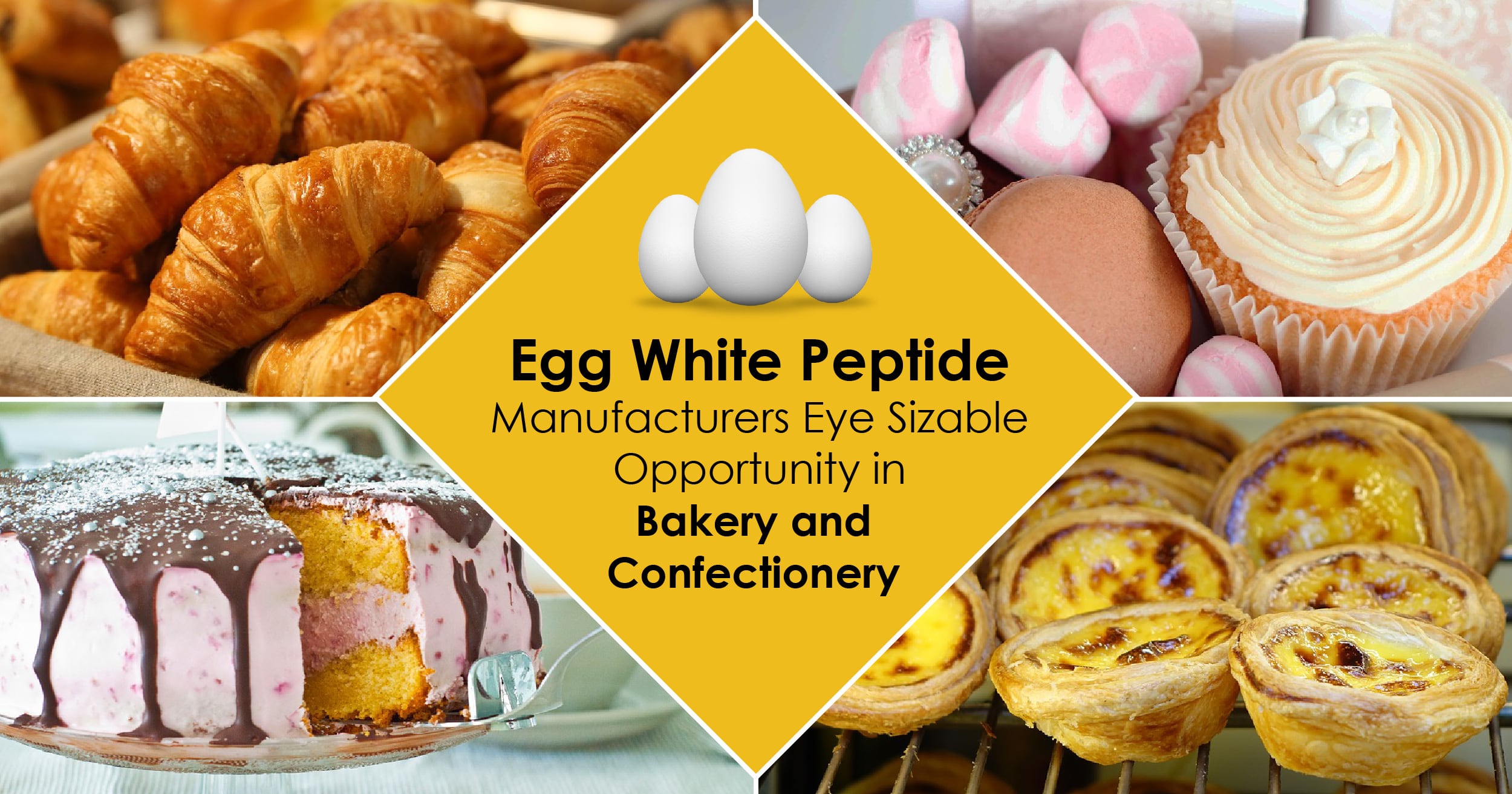 Egg-White-Peptide-02-01.jpg