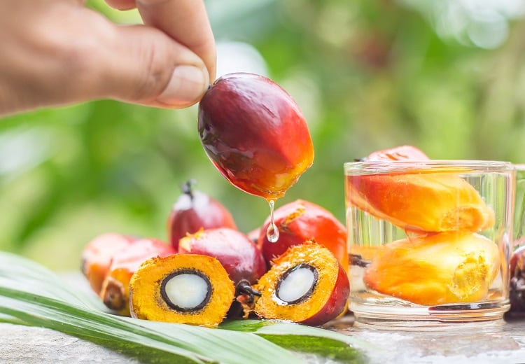 palm-oil-drip-Wirachai.jpg