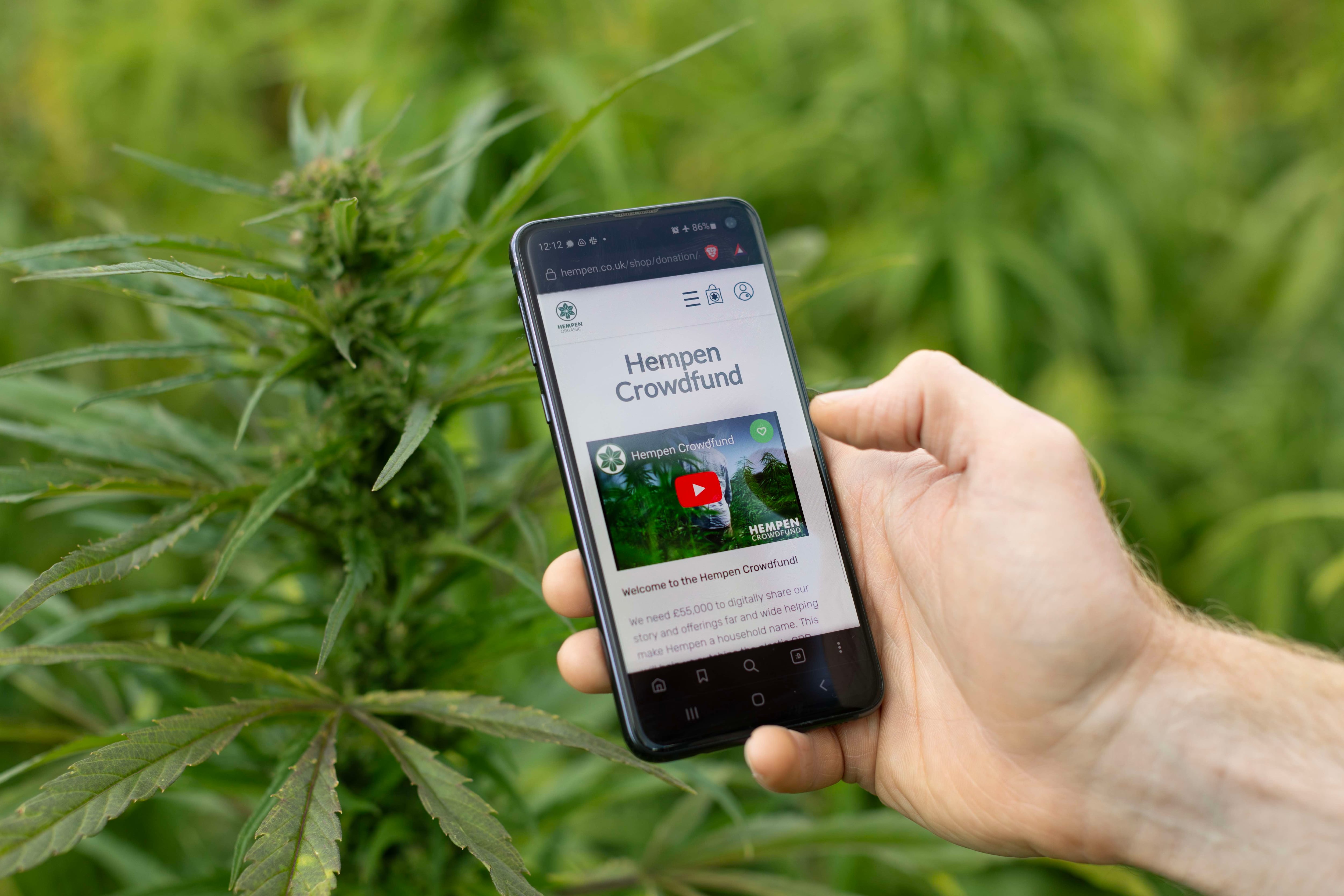 Fundraising regulatory uncertainty leaves CBD brand high and dry