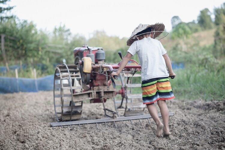 Germany-adopts-Supply-Chain-Act-but-is-it-enough.jpg