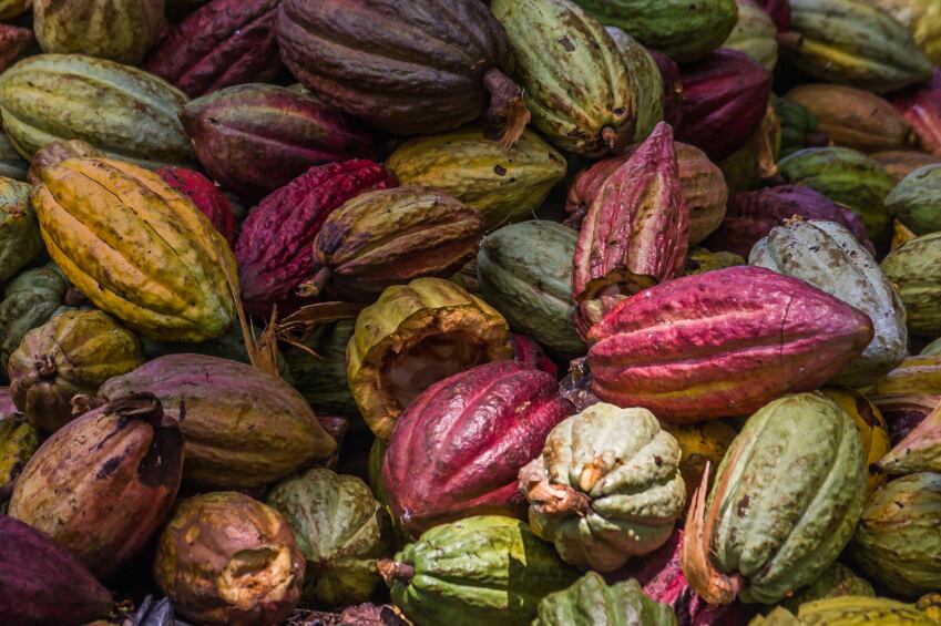 Farmlogics ag-tech brings sourcing closer to SDGs by 'digitising the field'