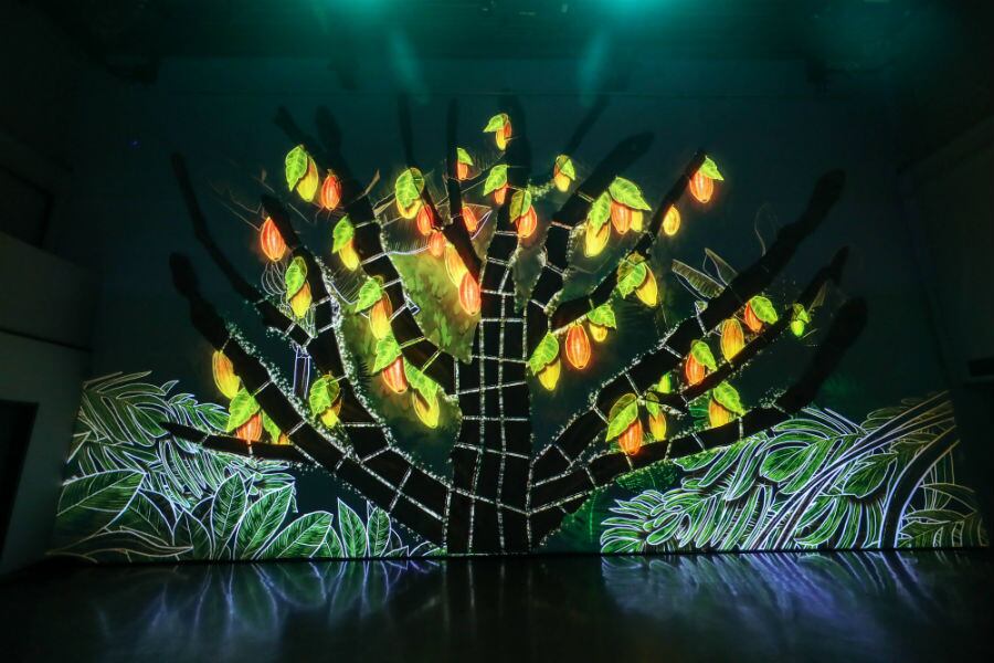 Barry Callebaut unleashes full power of 'cacaofruit' in next-gen food & drink category – watch