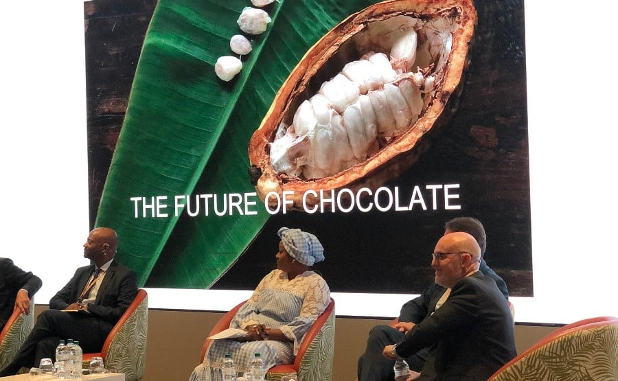 Cocoa and chocolate companies agree to share farmer data