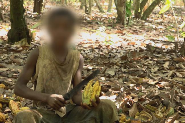 C4-screengrab-child-labour-mondelez.jpg