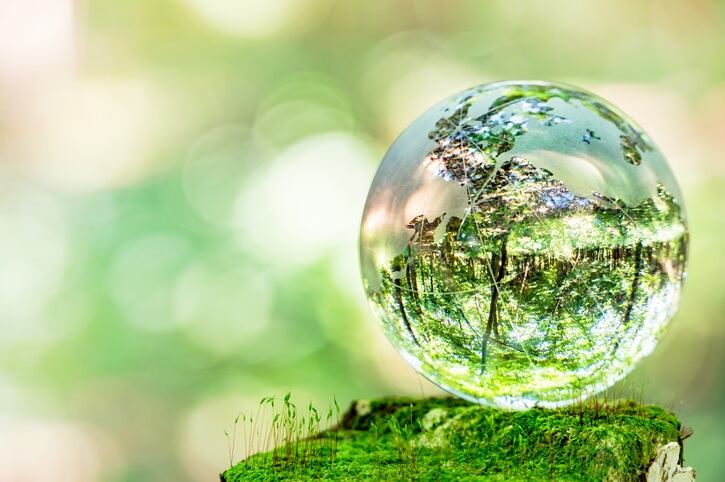 Globe-world-green-trees-GettyImages-jyugem.jpg