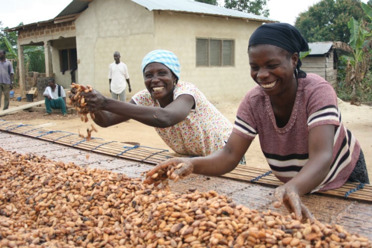 Divine-export-success-for-UK-ethical-chocolatier.jpg