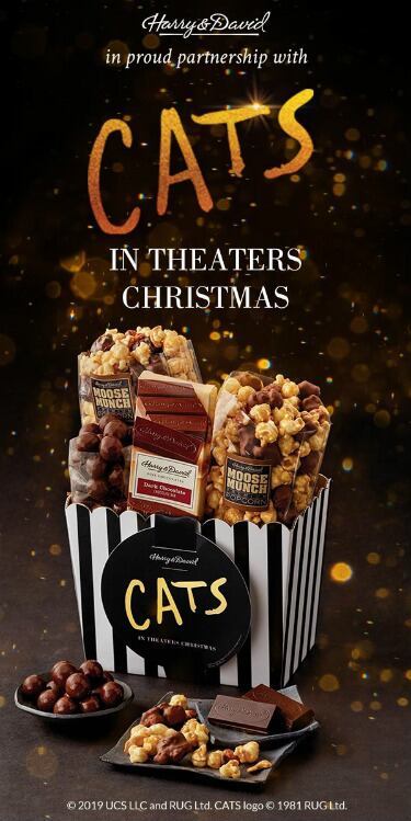 harry-david-universal-pictures-cats.jpg