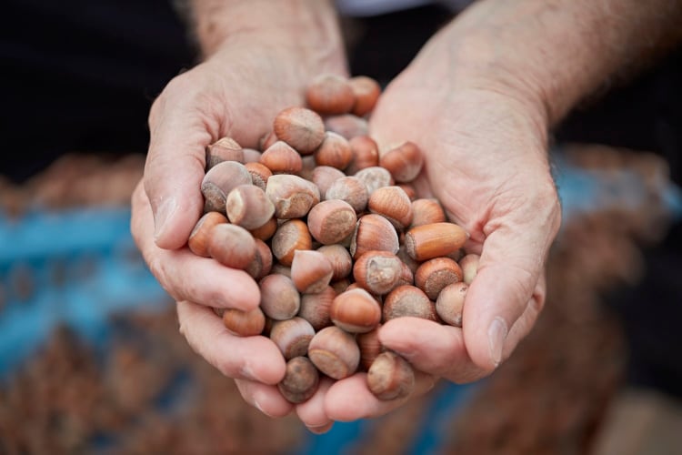 ofi ticks up the milestones in first Nuts Trails impact report