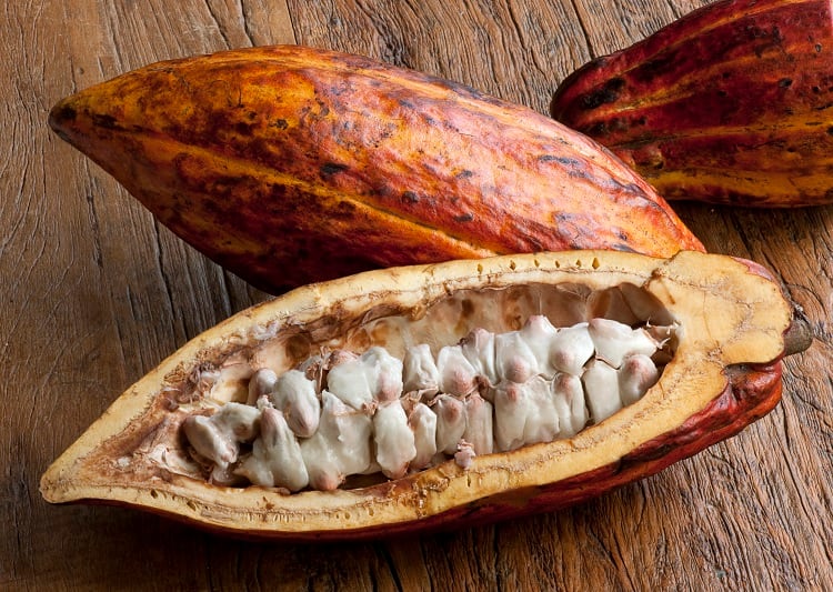Can the whole cocoa pod be utilised when making chocolate?
