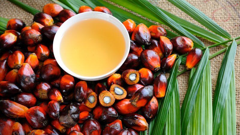 COVID-19 palm oil depression: Indonesia sees volumes fall drastically for country’s top export commodity