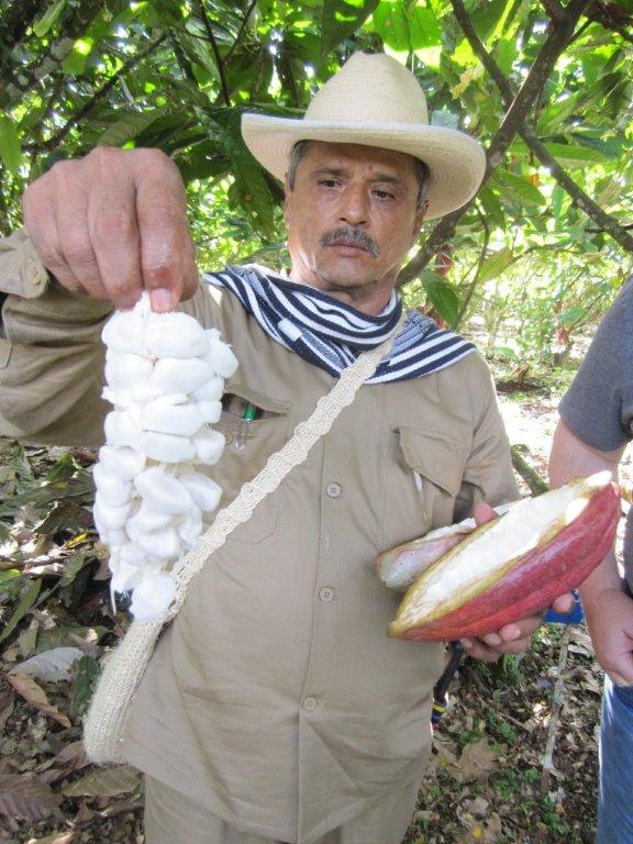 Colombia-cordillera-farmer.jpg