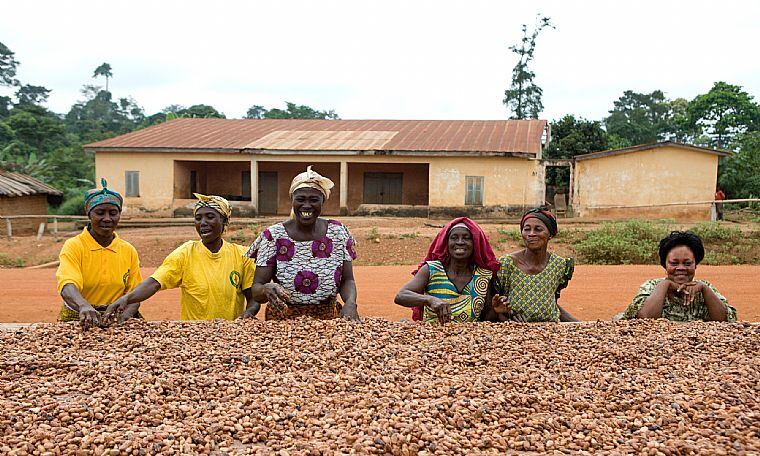 Fairtrade-launches-climate-focused-partnership-urges-COP26-to-do-more.jpg