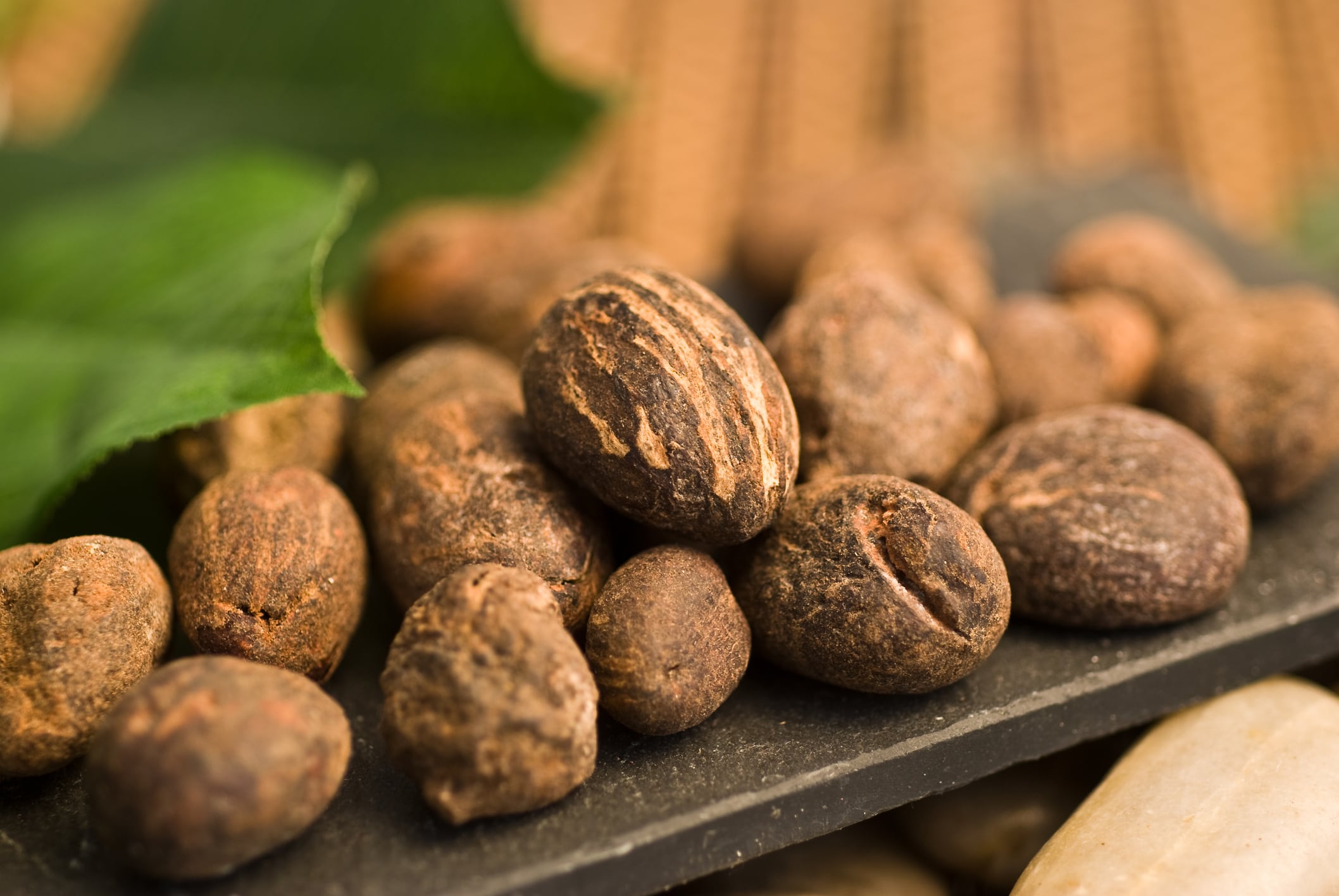 'Shea is a uniquely sustainable and healthy crop': Bunge Loders Croklaan on its latest cocoa butter equivalent