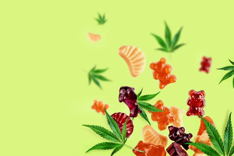 ‘Just the beginning’: bright future ahead for edible cannabinoids