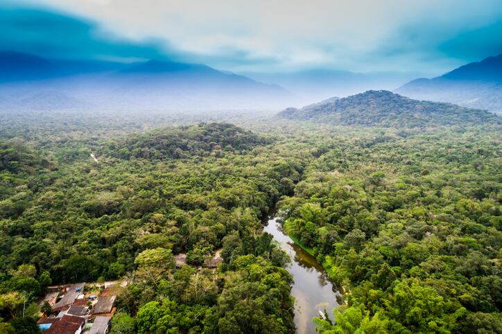Amazon Action: Alter Eco spearheads coalition to save one of world’s vital resources