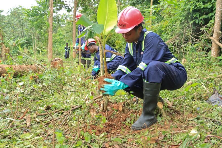 Ghana reverses years of neglect with new initiative to make its cocoa more attractive and sustainable to a younger generation