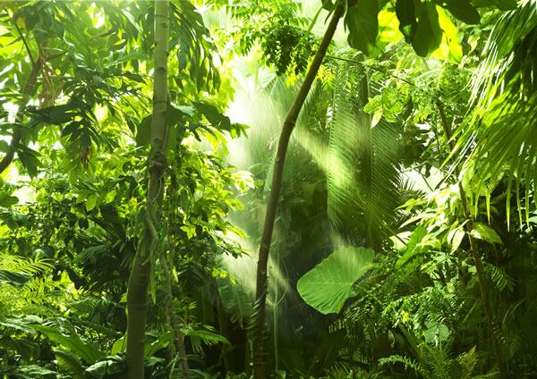 Mars-mobilising-suppliers-for-climate-action-If-sustainability-is-the-what-procurement-is-the-how.jpg