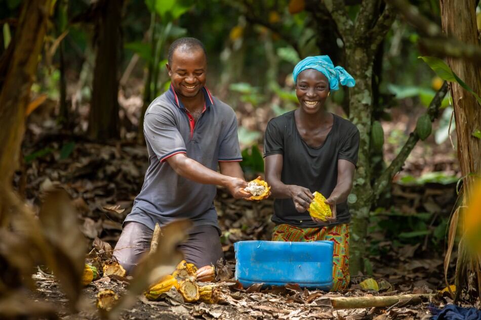 Cocoa-farmers-cote-WCF-pic-950.jpg