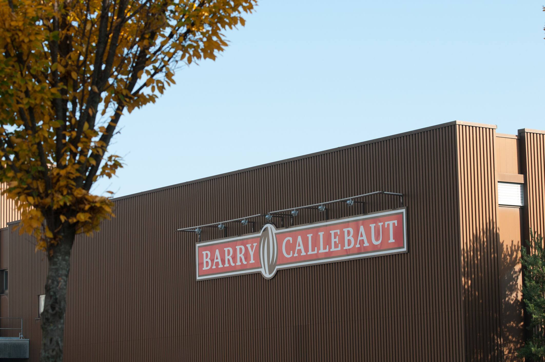 Barry Callebaut assesses cocoa threat as El Niño intensifies
