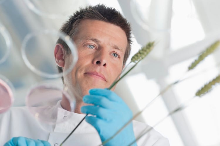 Tate & Lyle extends dietary fibre research collab with APC Microbiome Ireland