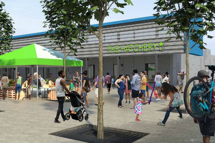 Mondelez-announces-partnership-with-food-business-incubator-The-Hatchery-Chicago.jpg