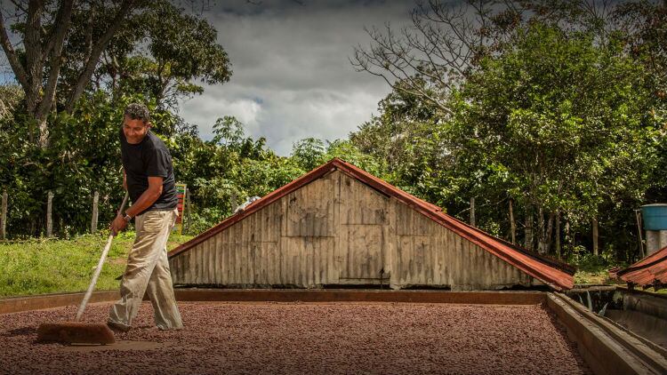 Cargill’s Cocoa Promise adopts latest technology to improve transparency in supply chain