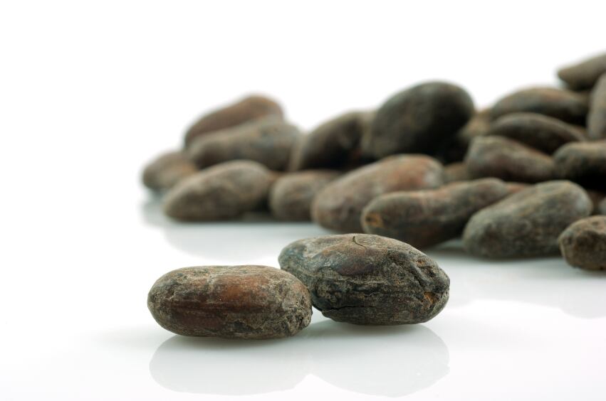 Cocoa-beans-spinetta.jpg