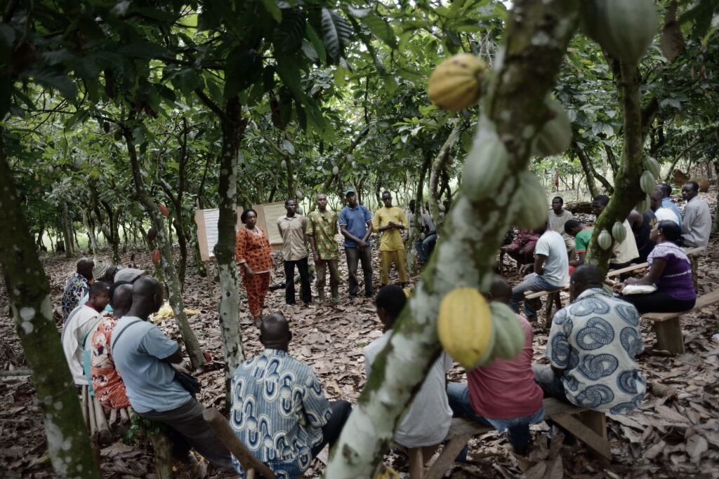 Farmer-training-C-Kadir-van-Lohuizen-NOOR.jpg