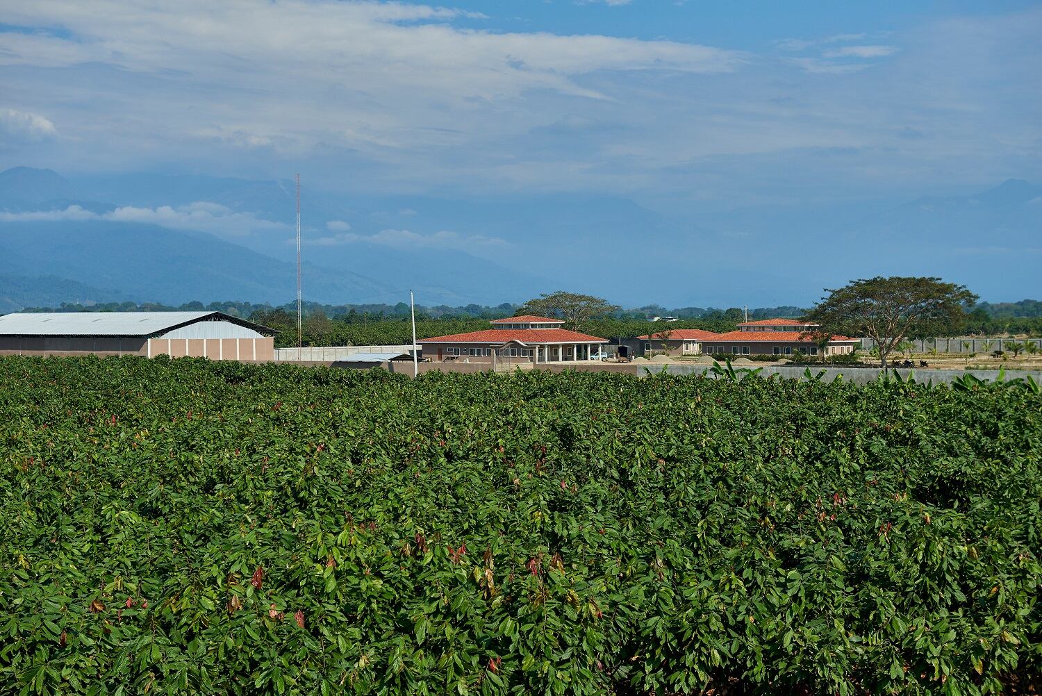 SanFernando-105.jpg