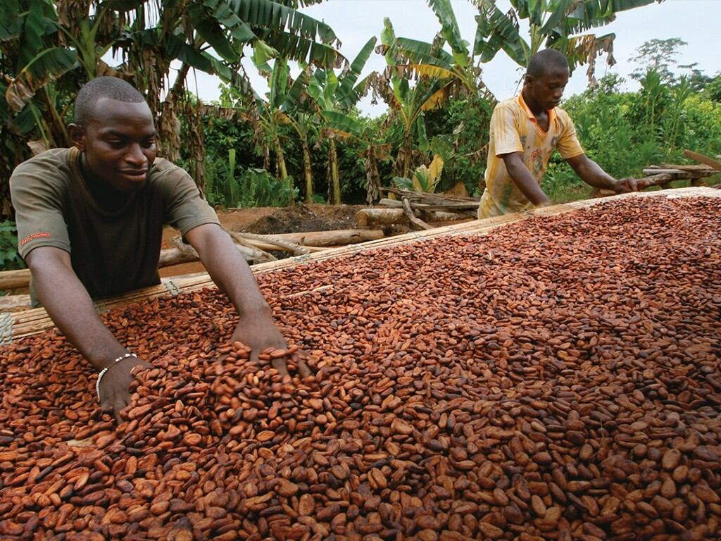 Barry Callebaut’s sustainability efforts sees reduction in carbon intensity and more cocoa farmers lifted out of poverty
