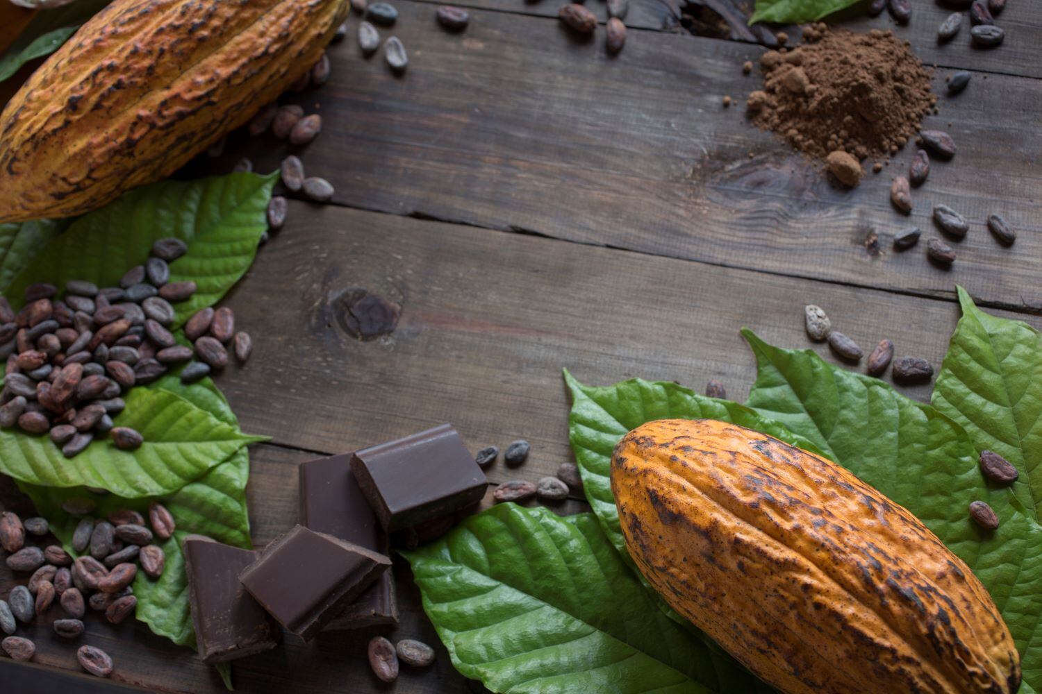 How-can-industry-move-towards-a-deforestation-free-cocoa-sector.jpg