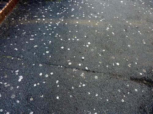 chewing-gum-litter-street-Flickr-haracat3.jpg
