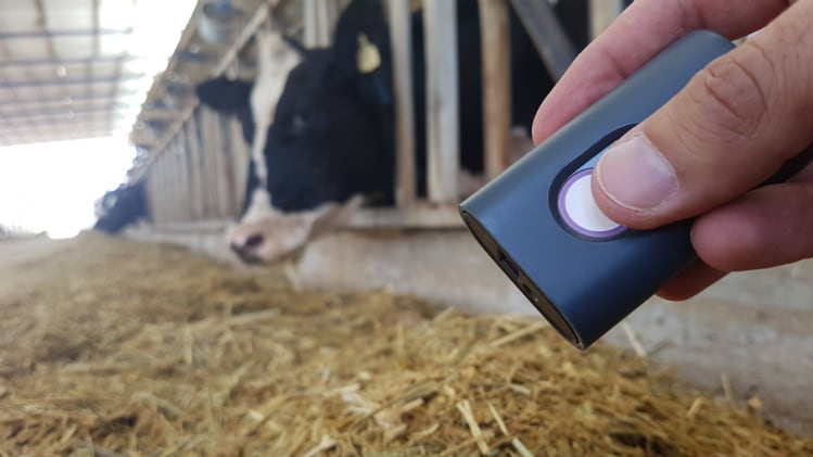 Scio-Animal-Feed.jpg