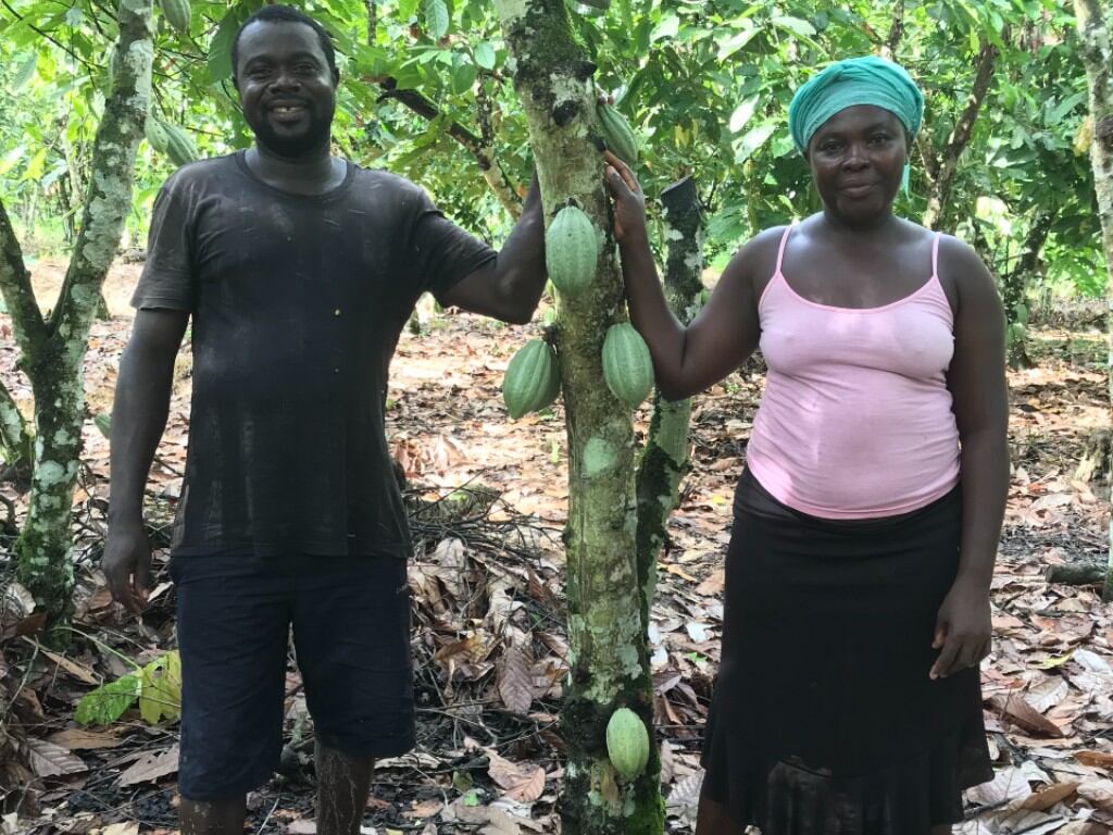 Farming-cocoa-definitely-needs-a-side-business.jpg