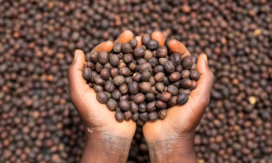 The-lowdown-on-single-origin-chocolate.jpg