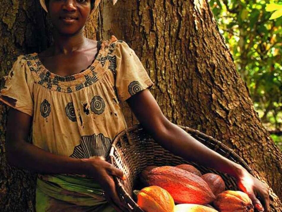 Nestle-announces-innovative-plan-to-tackle-child-labour-risks-in-cocoa-sector.jpg