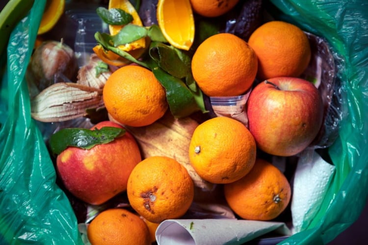 New research project converts fruit waste into natural ingredients