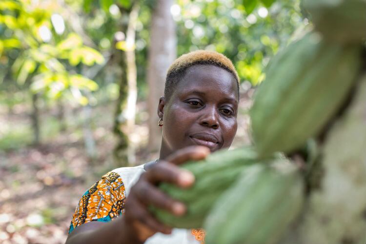 ECA forum to focus on ‘integrity and credibility of the cocoa supply chain’