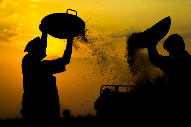 ‘A major victory in the fight against forced labour’: Food sector giants back human rights due diligence framework