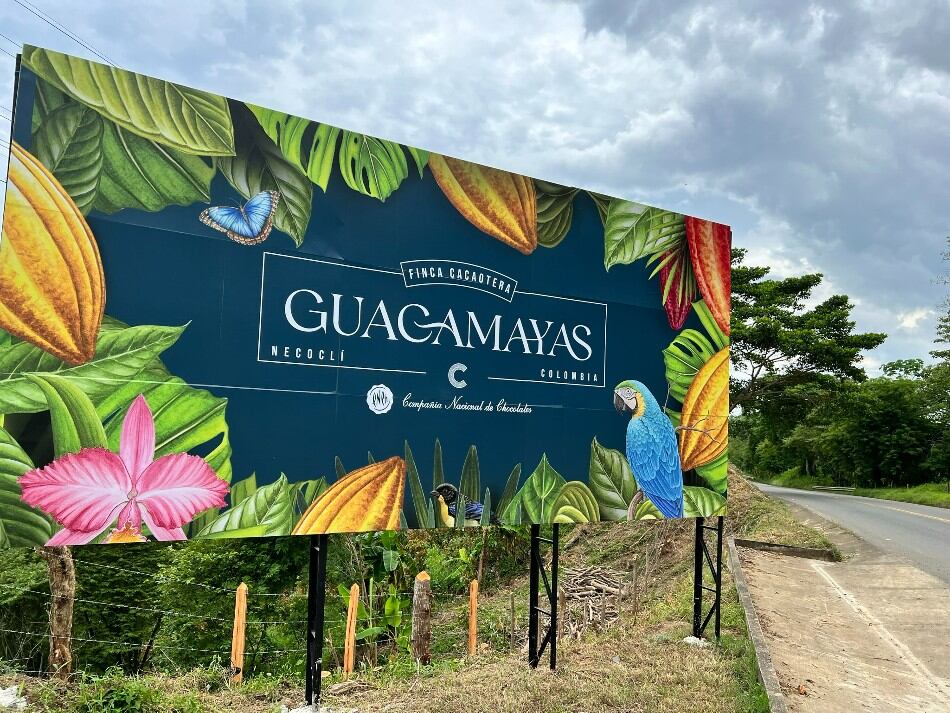 Sustainable cocoa growing on the edge of heaven: Guacamayas Farm’s rich biodiversity yields the perfect ‘primo’ beans