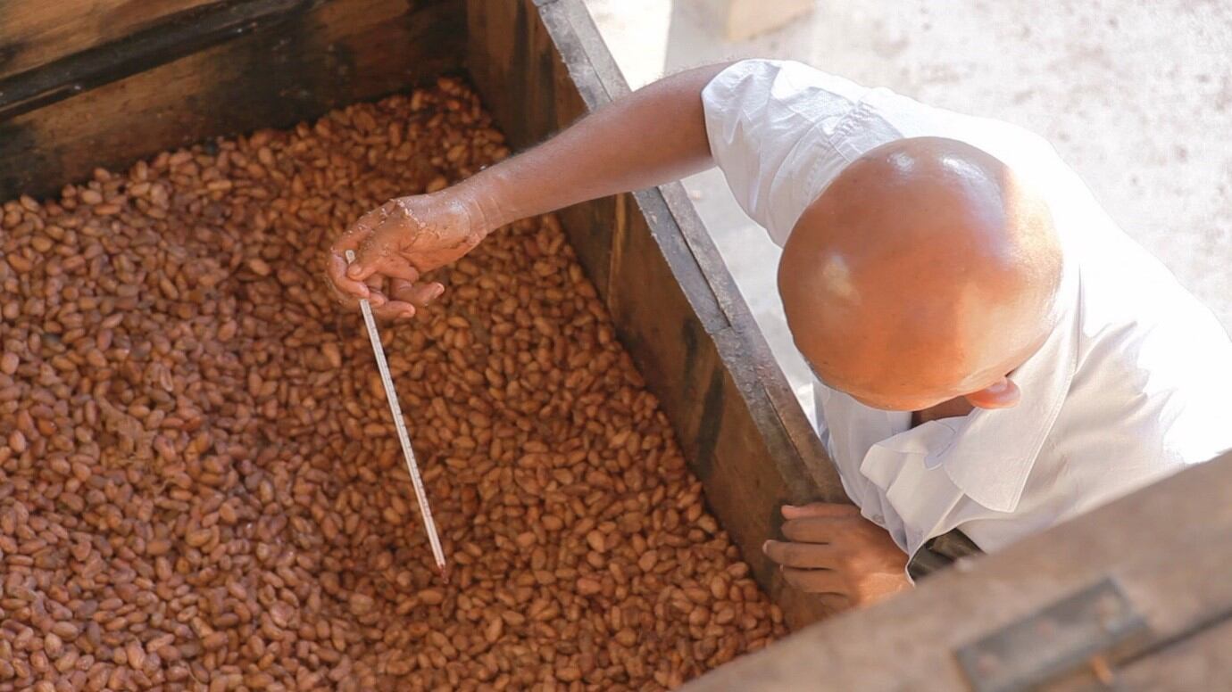 cocoa-34.jpg