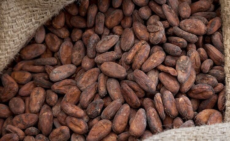 Ferrero achieves 2020 target of 100% sustainable cocoa