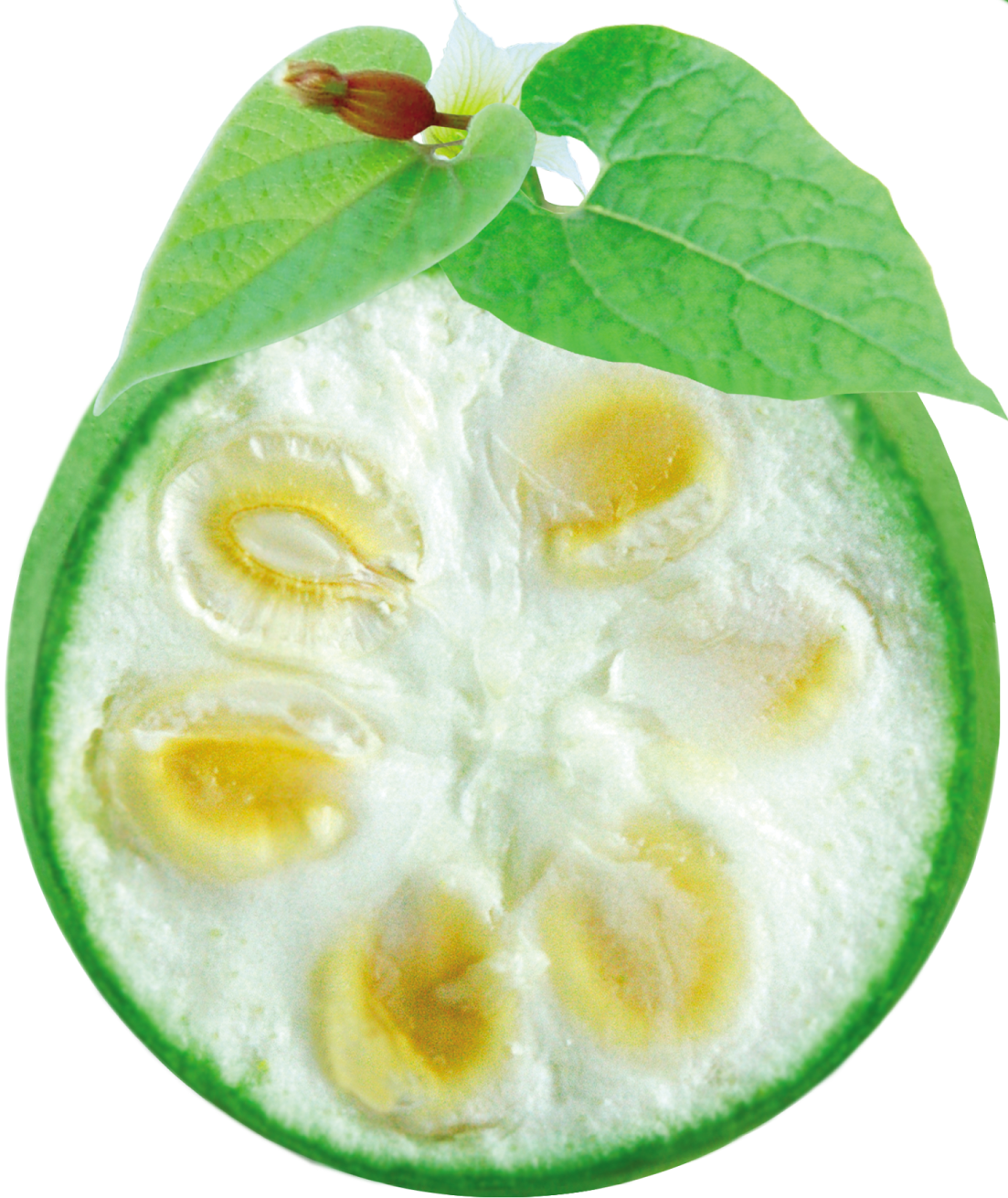 Monk-fruit.png