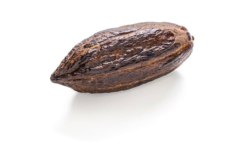 New cocoa marketplace aims to strengthen relationships between producers and buyers