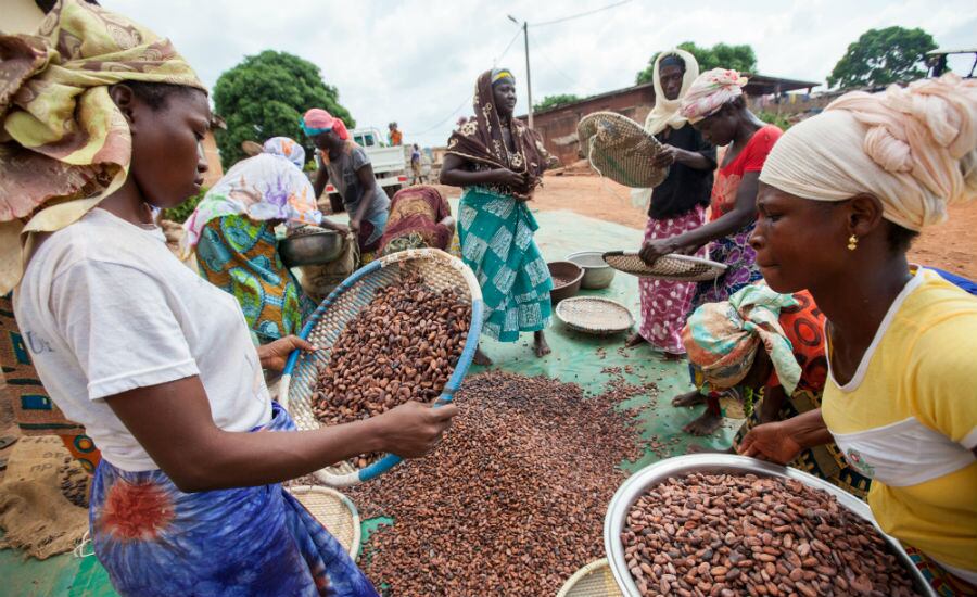 Consumer-demand-for-sustainably-sourced-products-sees-Fairtrade-sales-boom.jpg