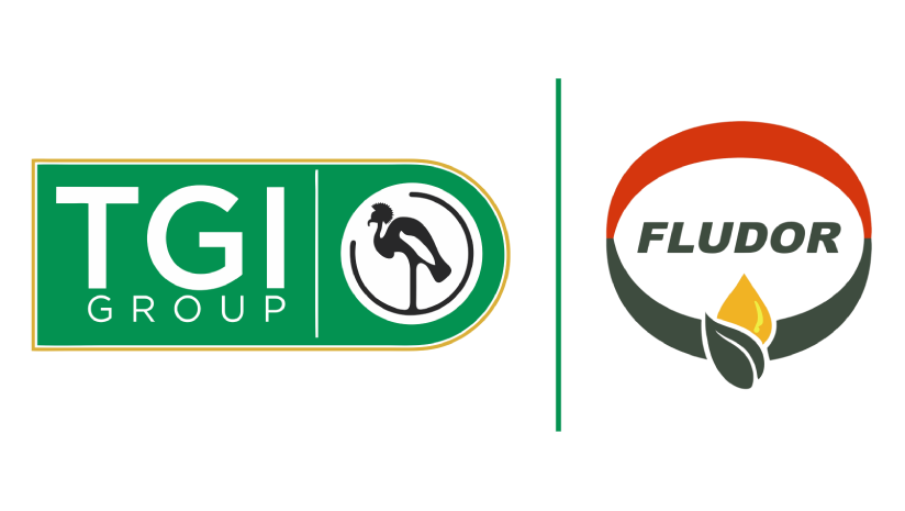 Fludor Ghana Ltd